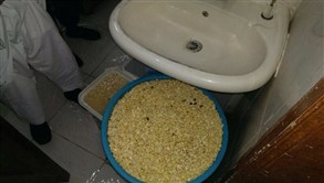 «المدينة»: الإطاحة بـ4 وافدين يعدون الأطعمة من دورات المياه